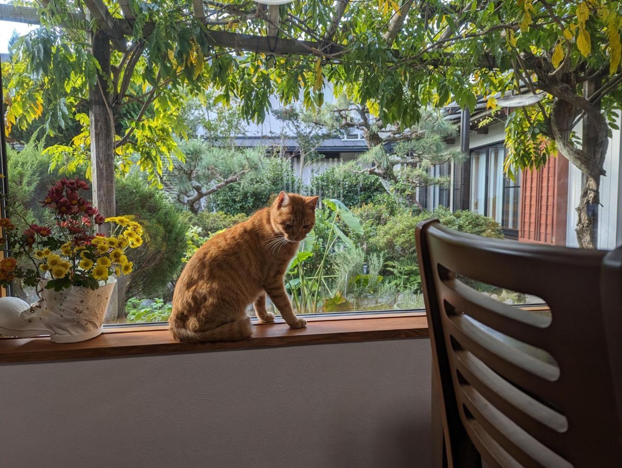 Guest House Ki-Zu - Vacation Stay 94978V Nishio Εξωτερικό φωτογραφία